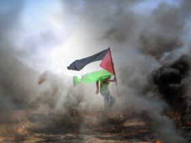 man, palestinian flag, smoke