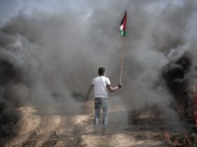 man, palestinian flag, smoke, burning, fire, jihad, palestine, gaza, bombing, war, jihad, palestine, palestine, palestine, palestine, palestine