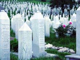 white tomb stone on green grass during daytime
