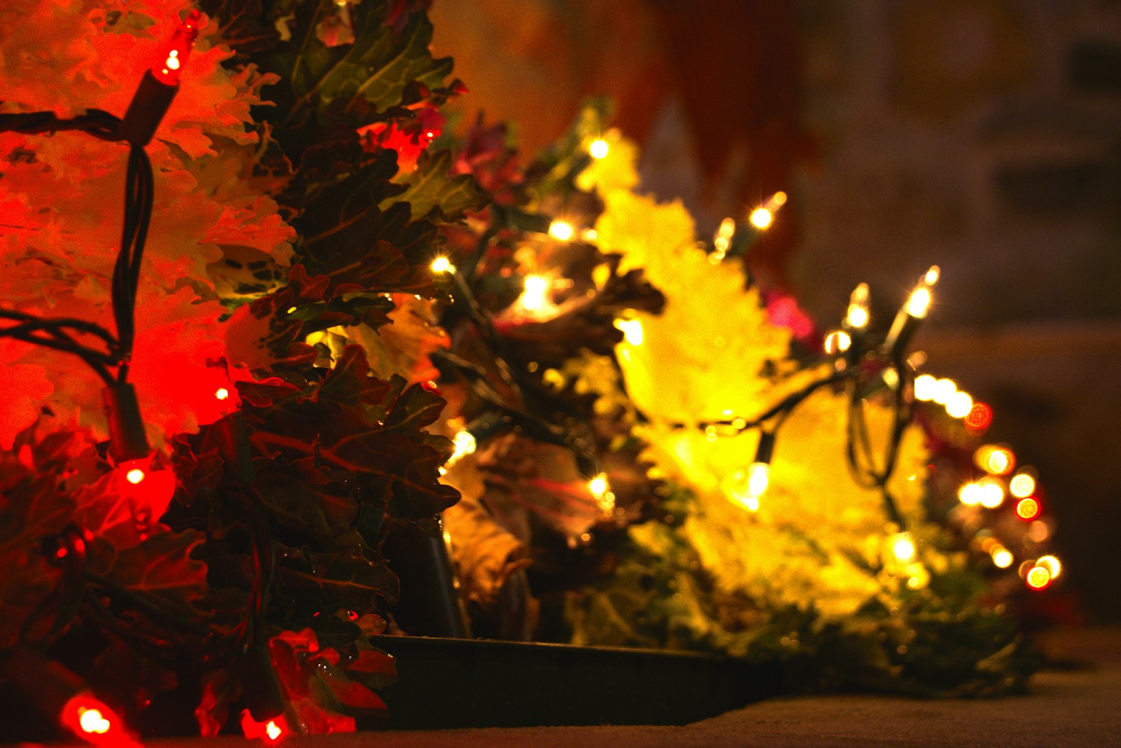 Close-up of a christmas tree with red and yellow lights